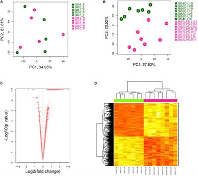 Intrauterine Inflammation Alters the Transcriptome and Metabolome in Placenta